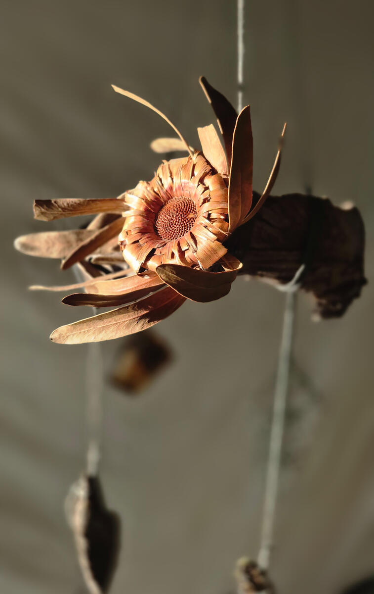 Untitled Untitled